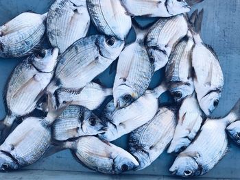 Close-up of fish for sale in market