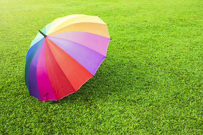 Close-up of multi colored grass on field