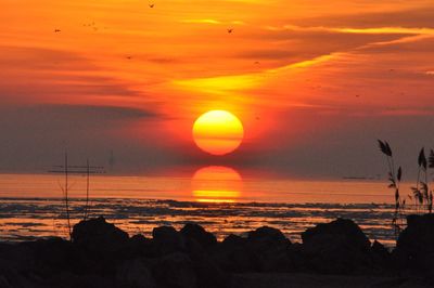 Scenic view of sea against orange sky