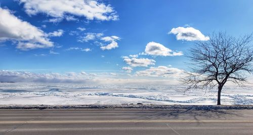 Road by bare trees against sky during winter