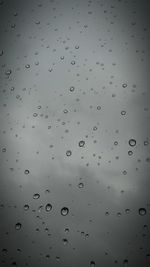 Close-up of water drops on leaf