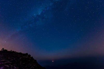 Low angle view of star field against sky at night