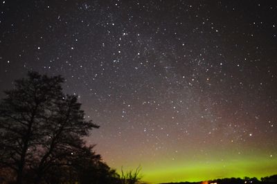 Low angle view of star field against star field