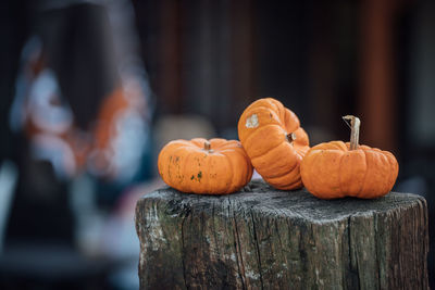 Close-up of pumpkins on tree stump during halloween