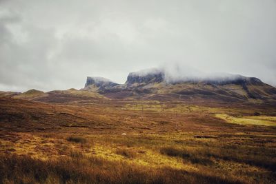 Scenic view of landscape against sky