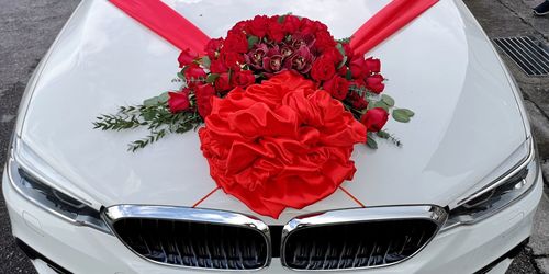 High angle view of red roses in container