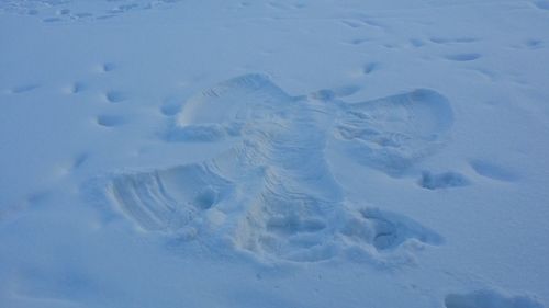 High angle view of snow covered land