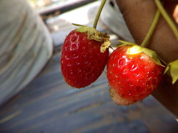 Close-up of strawberries