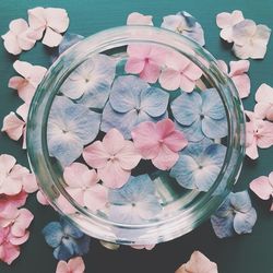 High angle view of pink flowers on table