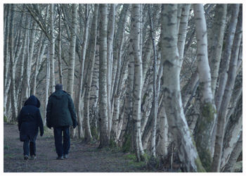 Rear view of people walking in forest during winter