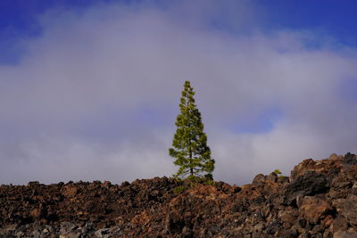 Low angle view of rocks against sky