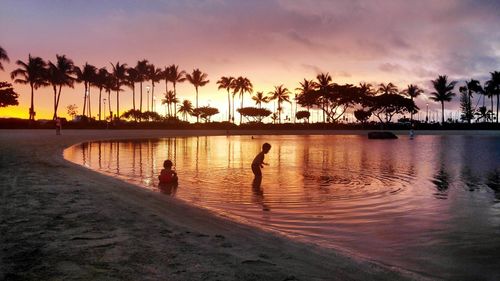 Silhouette of palm trees on beach