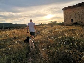 Rear view of woman with dog on field during sunset