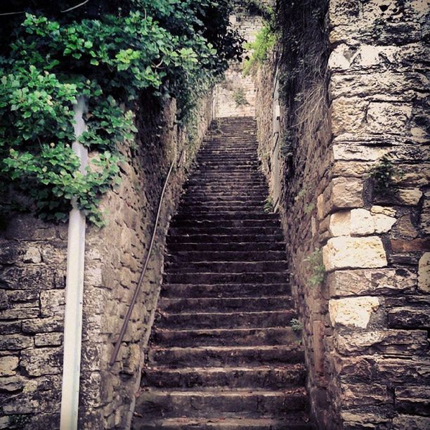 the way forward, steps, tree, steps and staircases, staircase, diminishing perspective, built structure, growth, plant, vanishing point, stone wall, railing, no people, narrow, architecture, outdoors, nature, day, stairs, forest