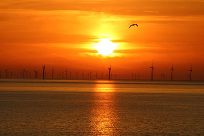 Silhouette birds flying over sea against orange sky off shore llandudno wind turbines 