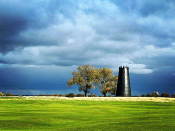 Trees on field against sky