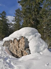 Scenic view of snow covered field