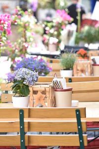 Close-up of potted plant on table