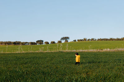 Scenic view of agricultural field against clear sky