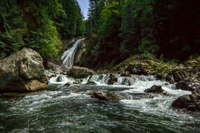 Scenic view of waterfall in forest