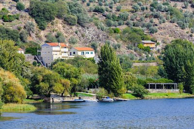 Buildings by river