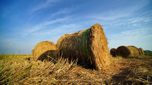 Hay bales on field against sky