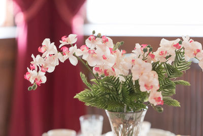 Close-up of orchids in vase on restaurant table