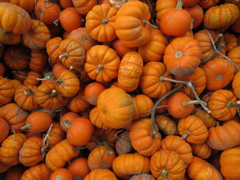 Full frame shot of pumpkins