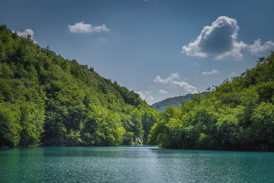 Scenic view of lake by trees against sky