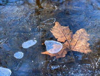 High angle view of snow on water