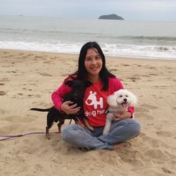 Woman with dogs on beach