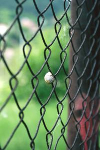 Close-up of chainlink fence