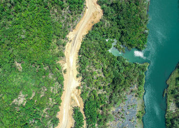 High angle view of rice paddy