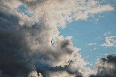 Low angle view of bird flying against sky