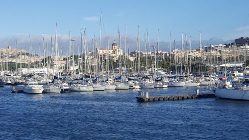 Sailboats in marina