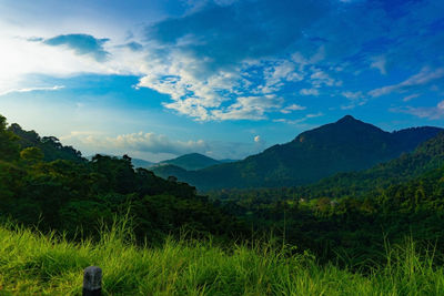 Scenic view of landscape against sky