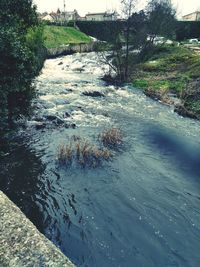 River amidst trees in forest