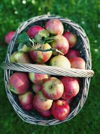 Close-up of fruits in basket