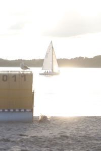 Sailboat sailing on sea against sky