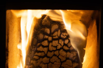 Close-up of burning candles