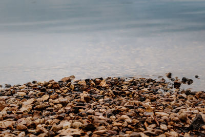 Stone lake shore close-up, cold autumn water