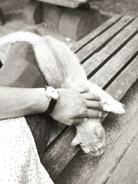 High angle view of person hand on bench