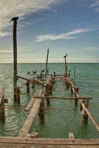 Wooden posts in sea against sky