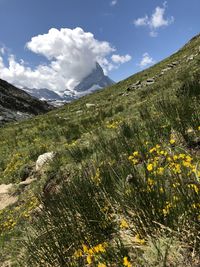 Scenic view of landscape and mountains against sky