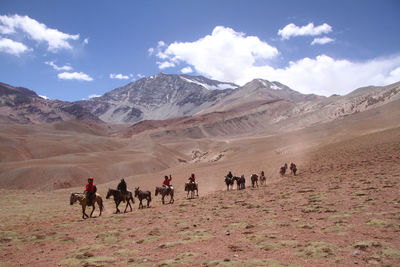 View of people riding horses on mountain