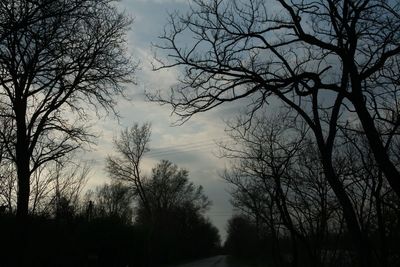Low angle view of silhouette trees against sky at dusk