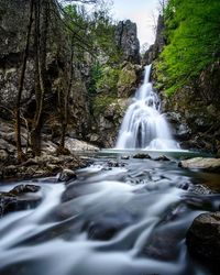 View of waterfall in forest