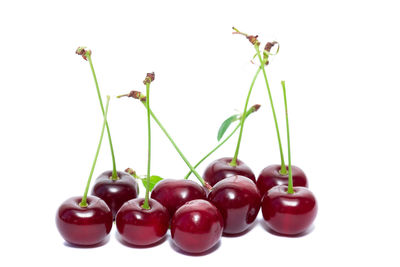 Close-up of cherries against white background