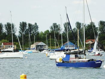 Boats moored in sea