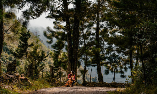 Rear view of man walking in forest